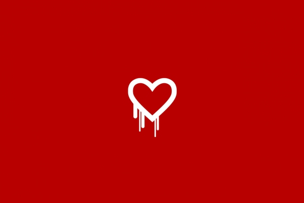 The Heartbleed Bug